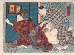 Stänger skärmen Stänger skärmen