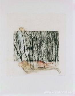 Passing Through (Nerves Series) Passing Through (Nerves Series)