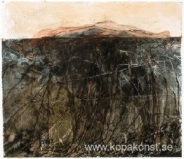 Nerver #14 Nerver #14