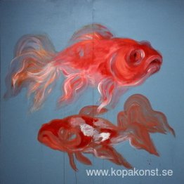 Flyga till månen – Guldfisk Flyga till månen – Guldfisk