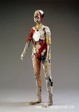 Colorado man Colorado man