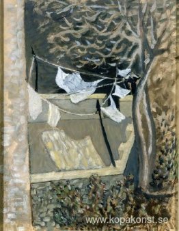 Tvättlina Tvättlina