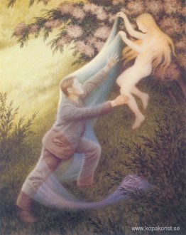 Älvadröm Älvadröm