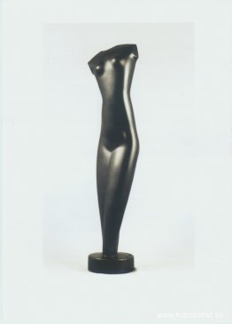 Torso Torso
