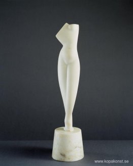 Torso Torso