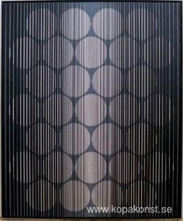 Svart Daisy Svart Daisy