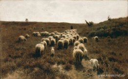 Flockens återkomst, Laren Flockens återkomst, Laren