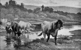 Kväll på fälten Kväll på fälten