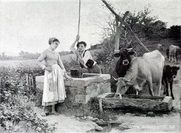 Bondeståndet Bondeståndet