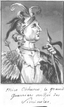 Great Warrior of Seminols Great Warrior of Seminols