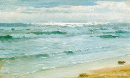 Havet vid Skagen Havet vid Skagen