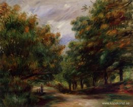 Väg nära Cagnes Väg nära Cagnes