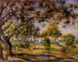 Noirmoutiers Noirmoutiers