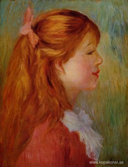 Ung flicka med långt hår i profil Ung flicka med långt hår i profil