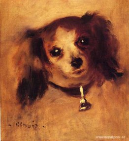 Huvud av en hund Huvud av en hund