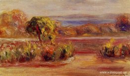 Middagslandskap Middagslandskap