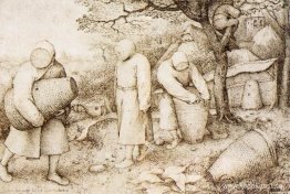 Biodlarna och fågelfästen Biodlarna och fågelfästen