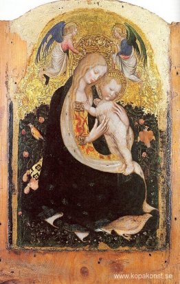 Madonna och Vaktel Madonna och Vaktel