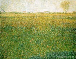 Alfalfa, St. Denis Alfalfa, St. Denis