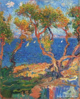 Olivträd vid havet Olivträd vid havet