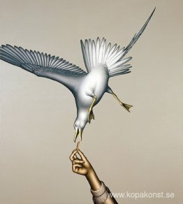 Måsmatning Måsmatning