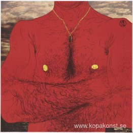 3 illustrationer för "Killed By Roses" (En bok med porträtt av Y 3 illustrationer för "Killed By Roses" (En bok med porträtt av Y