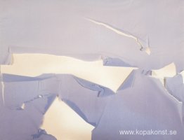 Tissue Tear Series: Utan titel Tissue Tear Series: Utan titel