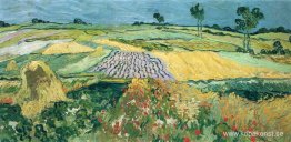 Wheatfields Wheatfields