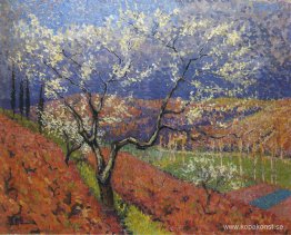 Träd i blomma Träd i blomma