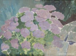 Hortensior Hortensior