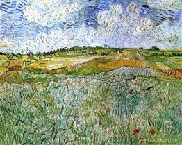 Slätten vid Auvers Slätten vid Auvers