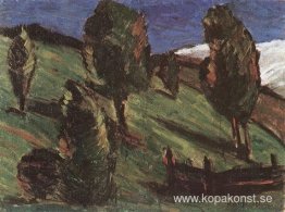 Transylvaniskt landskap Transylvaniskt landskap