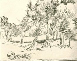 En grupp tallar En grupp tallar