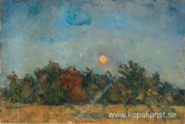 Natt på fältet Natt på fältet