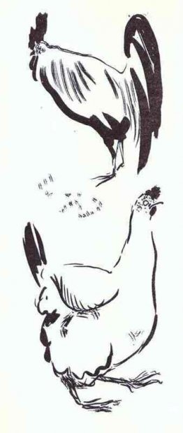 Hanen och hönan Hanen och hönan