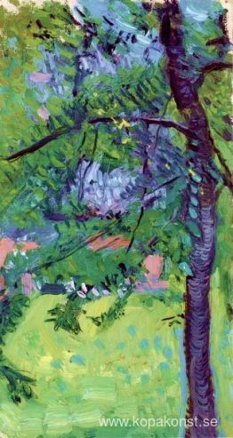 Äng med hus i bakgrunden Äng med hus i bakgrunden