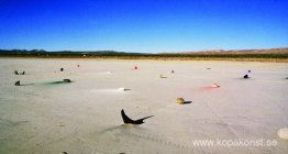 Berg- och pigmentinstallation Berg- och pigmentinstallation