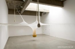 Önskar en gravitationshorisont Önskar en gravitationshorisont