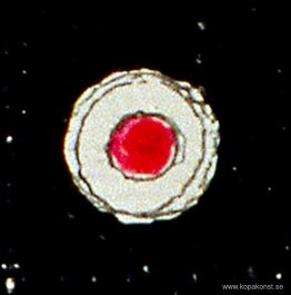 Mikromålning Mikromålning