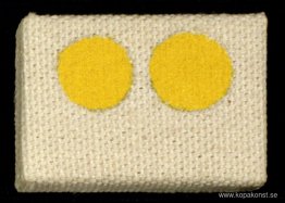 Mikromålning Mikromålning