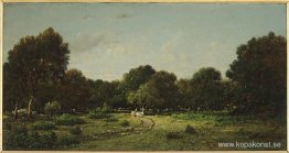 Rensar i högskogen i Fontainebleau skog X, sa vagnen Rensar i högskogen i Fontainebleau skog X, sa vagnen