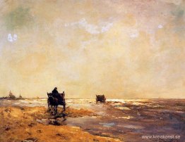 Strandutsikt Strandutsikt