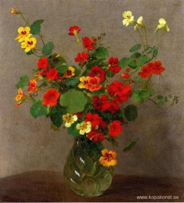 Nasturtiums Nasturtiums