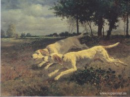 Löpande hundar Löpande hundar