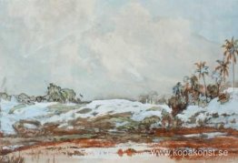 Indonesiskt landskap Indonesiskt landskap