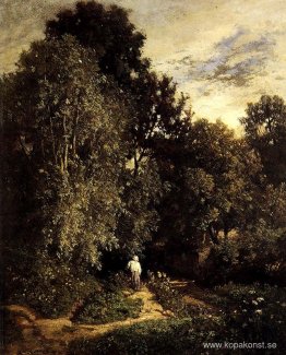 Stig i en liten skog Stig i en liten skog