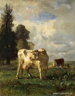 Kor i fältet Kor i fältet