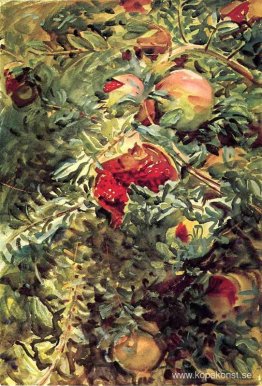 Granatäpplen Granatäpplen