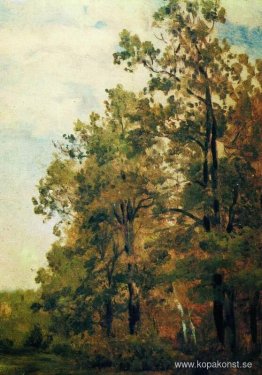 Skogskanten Skogskanten