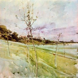 Efter orkanen Efter orkanen